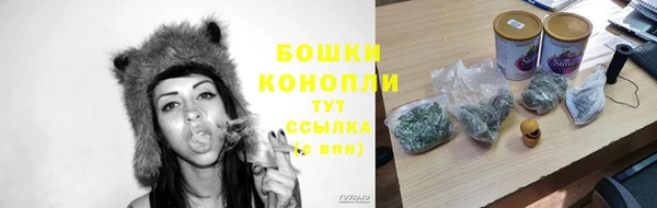 бошки Арсеньев