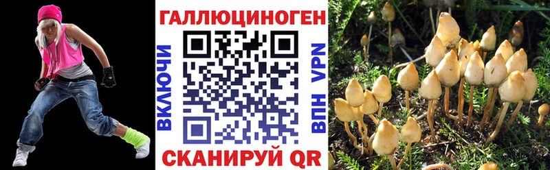 дарк нет какой сайт  Тында  Псилоцибиновые грибы MAGIC MUSHROOMS 